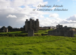 Challenge Irlande